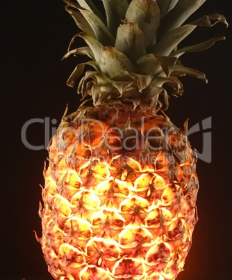 Neue Darbietung einer Ananas