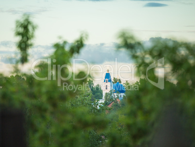 Domes of orthodox church seen through trees