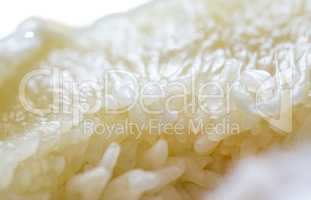 Macro photo of fresh pomelo pulp