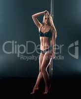 Pole dance. Studio shot of beautiful dancer posing