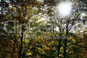 Herbst in der Steiermark