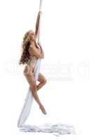 Gorgeous female dancer posing on aerial silk