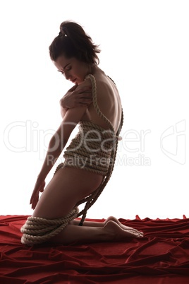 Bondage as sexual fetish. Nude girl tied with rope