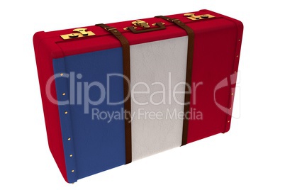 French flag suitcase
