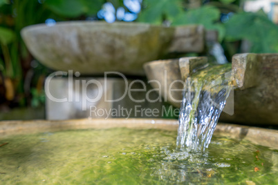 Tropical garden. Stone bowl with water flowing