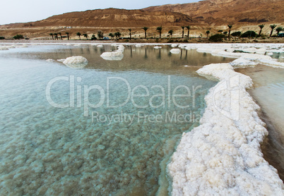 Beautiful coast of the Dead Sea .