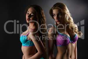Erotica. Sensual young women dressed in lace bras