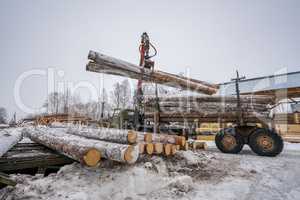 Sawmill in winter. Image of truck loading timber