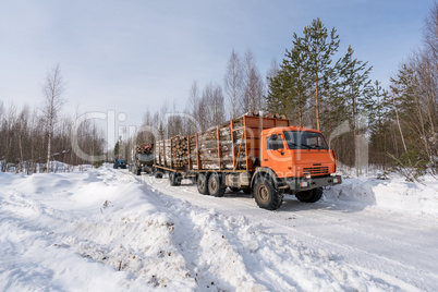 Trucks loaded with timber move out of woods