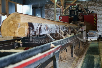Woodworking shop. Image of log on machine