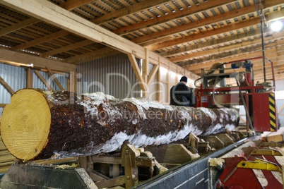 Sawmill. Close-up of log and worker on background