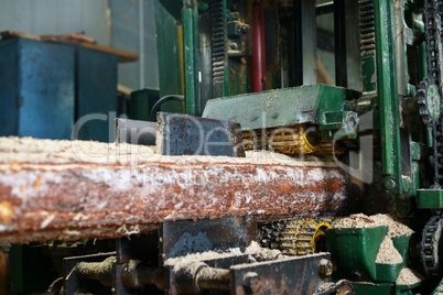 At sawmill. Image of sawing log on machine