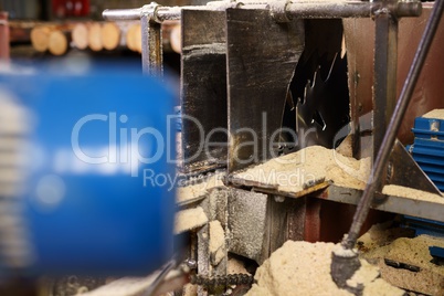 Image of machine for cutting and sawdust around