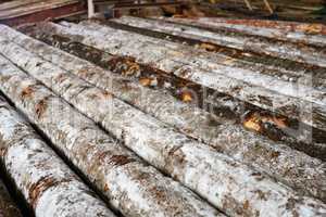 Snow-covered logs lie in row on sawmill