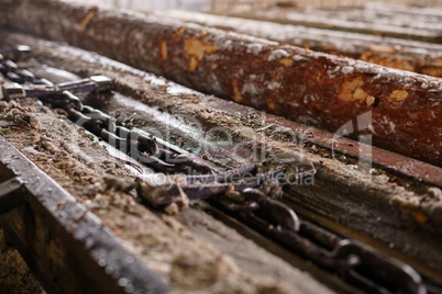 At sawmill. Close-up of wood and chain
