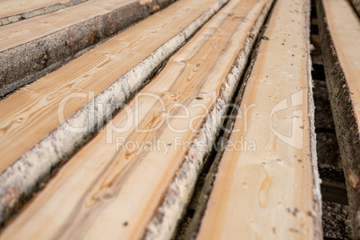 At sawmill. Image of wooden boards lying in row