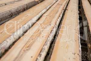 At sawmill. Image of wooden boards lying in row