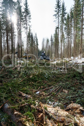 In forest it conducts work on wood harvesting