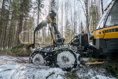 Forestry work. Image of modern log loader working