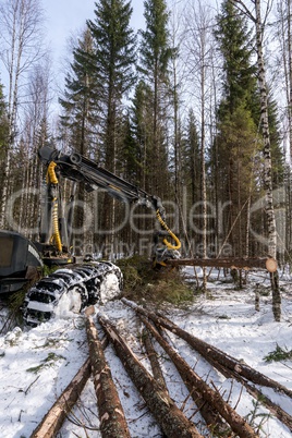 Log loader cutting tree in winter forest