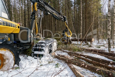 Image of logger cut down trees in winter forest