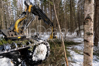 Woodworking. Logger busy working in winter forest