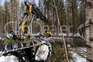 Timber industry. Logger cuts tree in winter forest