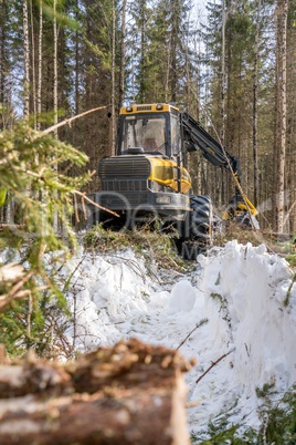 Vertical photo of logger in winter forest