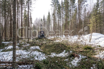 Image of logger rides through forest after felling