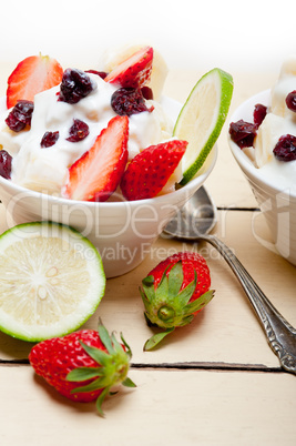 fruit and yogurt salad healthy breakfast