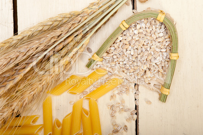 Italian pasta penne with wheat