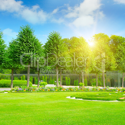 summer park with beautiful flowerbeds summer park with beautiful flowerbeds