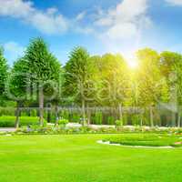 summer park with beautiful flowerbeds