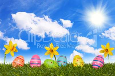 coloured Easter eggs on meadow with daffodils - 08