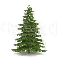 3d - christmas - fir tree