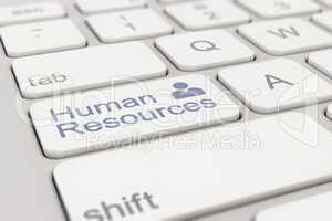 keyboard - human resources - white-blue