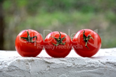 Drei Tomaten auf der Mauer