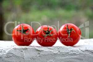 Drei Tomaten auf der Mauer