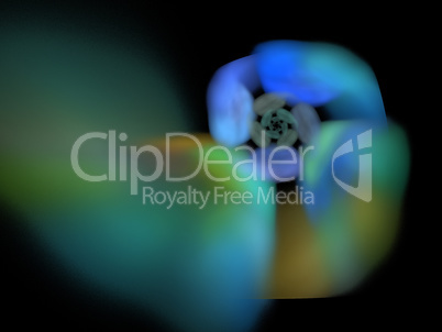 image of one Digital Fractal on Black Color image of one Digital Fractal on Black Color