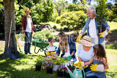 Multi-generation family gardening in the park