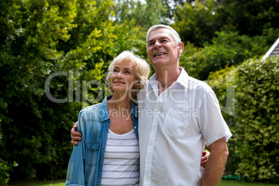 Senior couple looking up in back yard