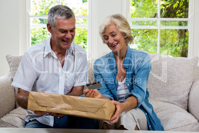 Happy senior couple holding parcel and debit card at home