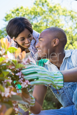 Young couple gardening together