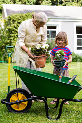 Granny and grandson holding flower pots at yard