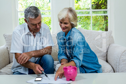 Happy senior couple calculating savings at home
