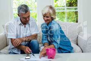 Happy senior couple calculating savings at home