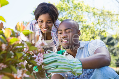 Young couple gardening together