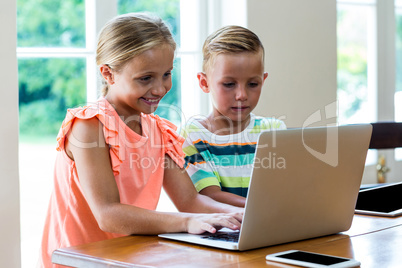 Siblings using laptop while sitting at home