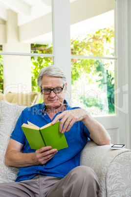 Senior man reading book while sitting at home