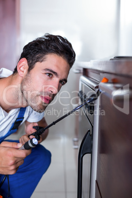Cropped man spraying insecticide on oven
